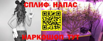 мдпв Ипатово