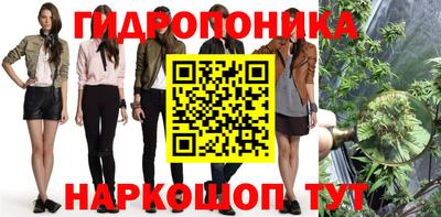 мдпв Ипатово