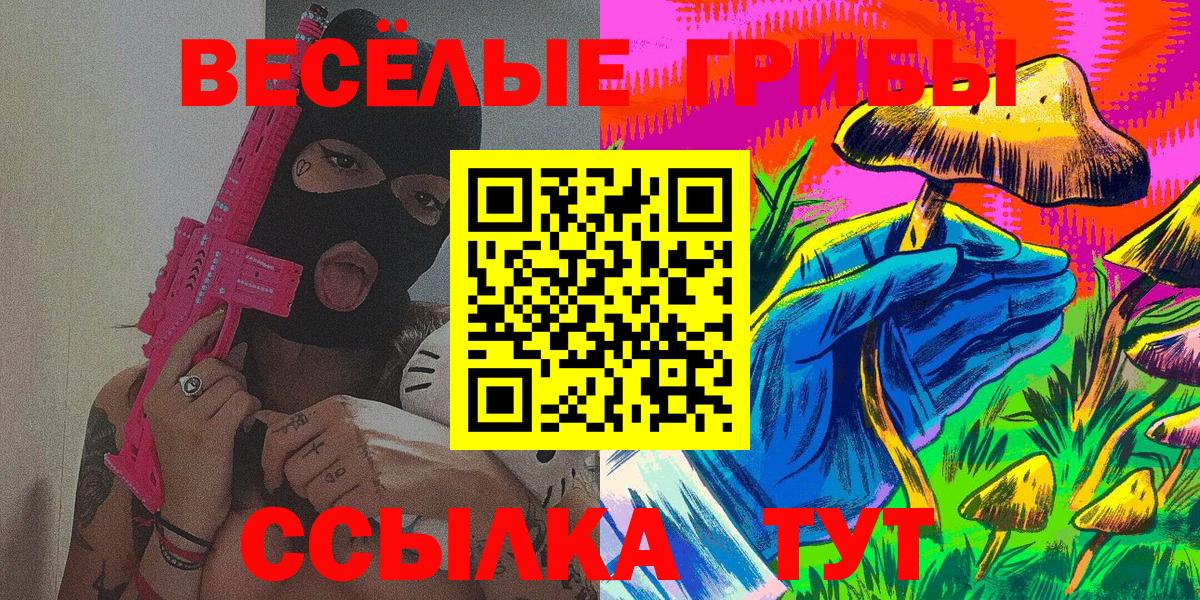 Галлюциногенные грибы Psilocybine cubensis Луховицы