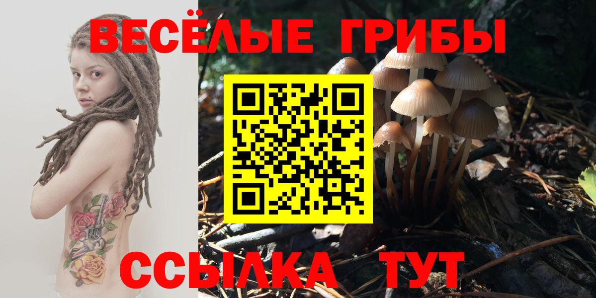 Луховицы  Галлюциногенные грибы Psilocybe  Вход с VPN  Псилоцибиновые грибы MAGIC MUSHROOMS 